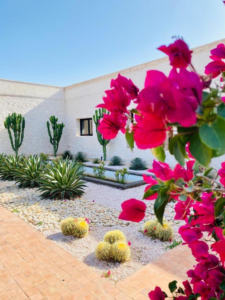 Le Clos De La Roussiere Essaouira Exterior photo